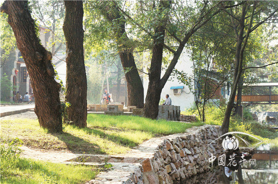 新時(shí)代園林苗木需求展望