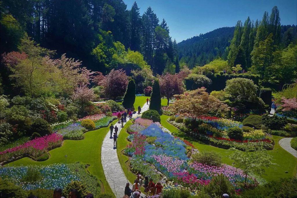 2018園林苗木行業(yè)十大新聞