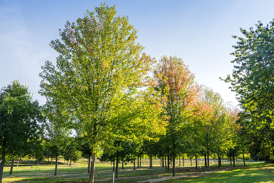 2018年找尋園林行業(yè)的歸屬感