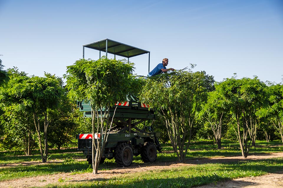 從“野蠻生長(zhǎng)”走向平穩(wěn)調(diào)整