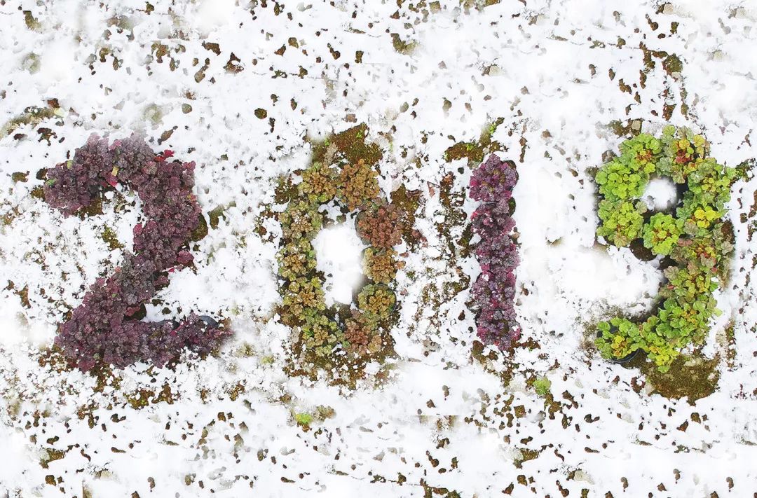 Hello，2019！