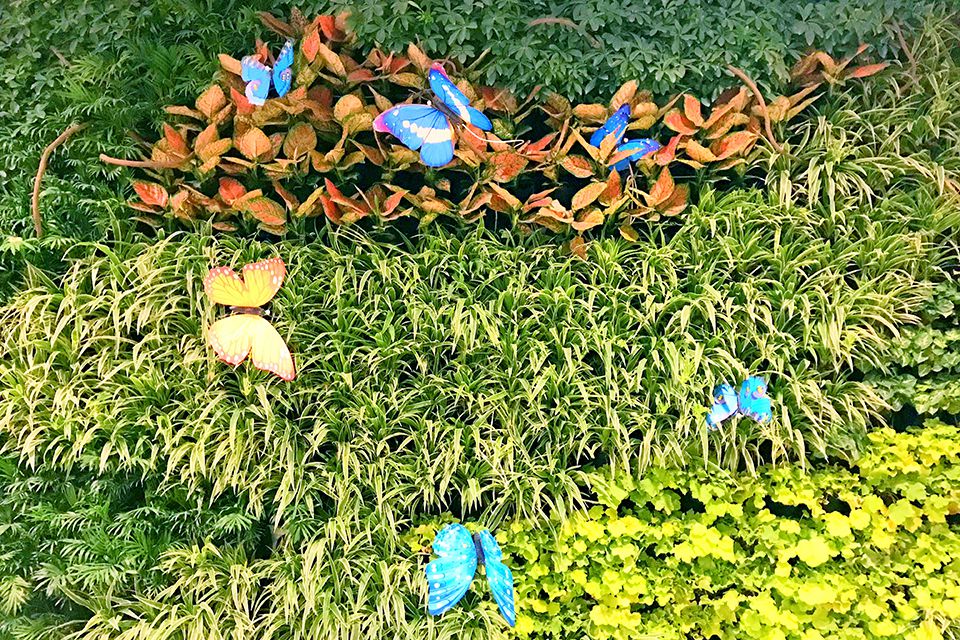 立體綠化成未來城市發(fā)展趨勢