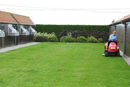 談園林樹木修剪標(biāo)準(zhǔn)（上）