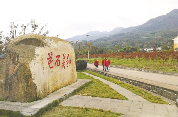 春風(fēng)里的向峨