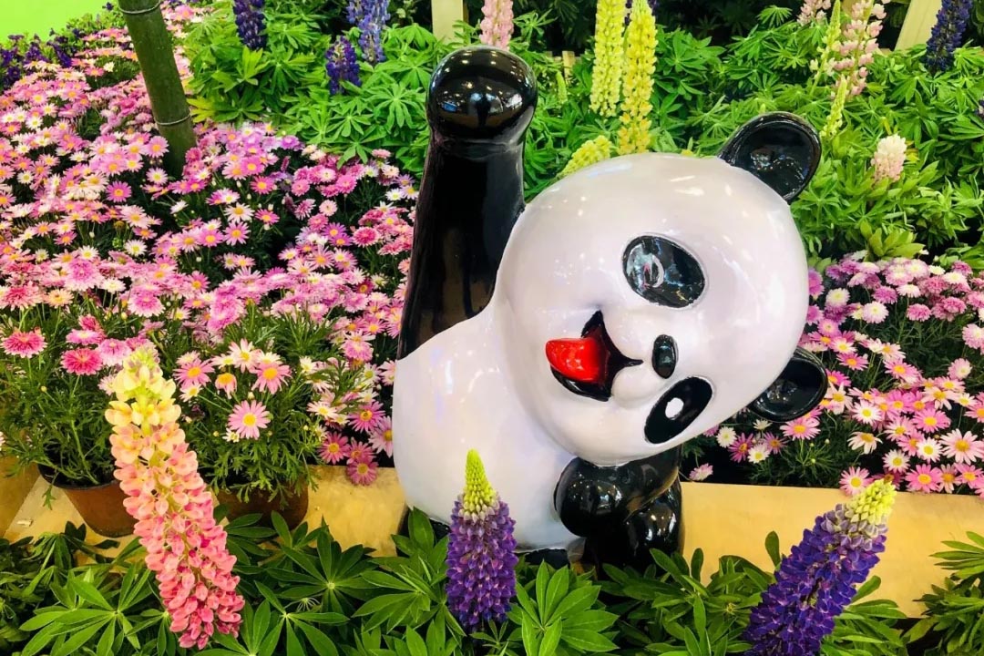 聚焦七彩|亮相成都農(nóng)博會，七彩林科超“洋氣”