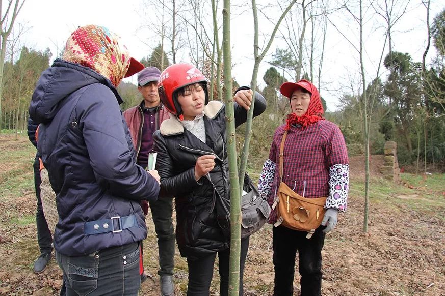 七彩匠心┃陳海燕：專注于心 專業(yè)于行
