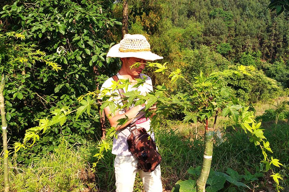 七彩匠心|楊江平：指尖新生 夢想繽紛