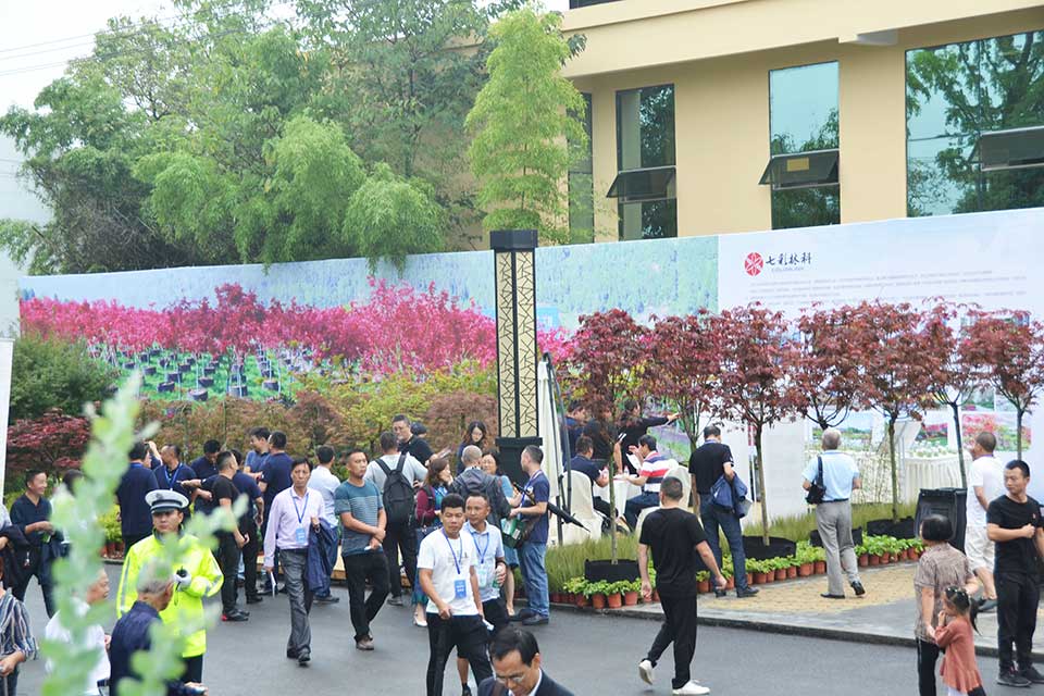 七彩林科驚艷亮相第三屆四川生產(chǎn)旅游博覽會(huì)（西部?成都花木博覽會(huì)）