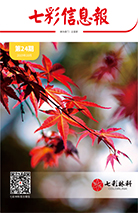 七彩信息報2019年第5期