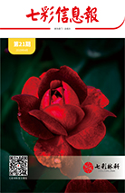 七彩信息報2019年第2期