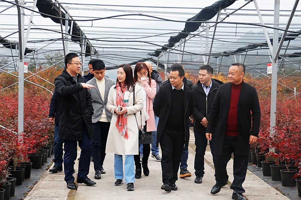 聚焦七彩|華僑城西部集團(tuán)副總經(jīng)理喬曉燕一行參觀考察七彩林科