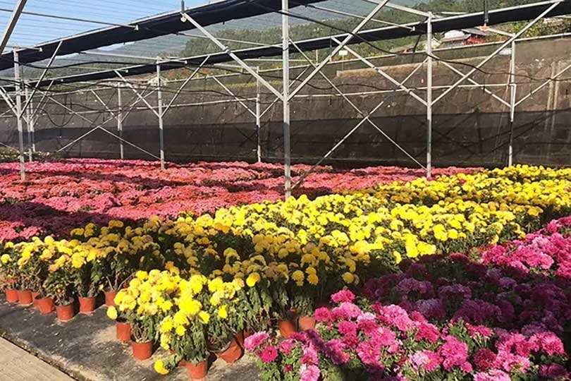 大事記|2019，我們和七彩一起走過的那些難忘瞬間.......