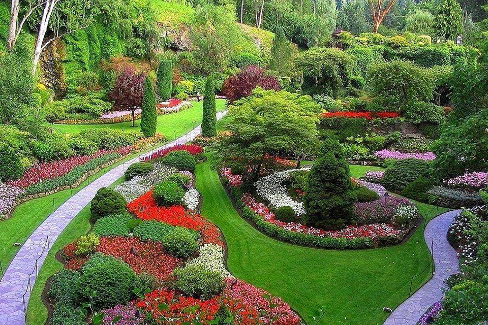 新冠疫情對園林綠化企業(yè)影響有多大？