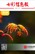 七彩信息報2020年第1期
