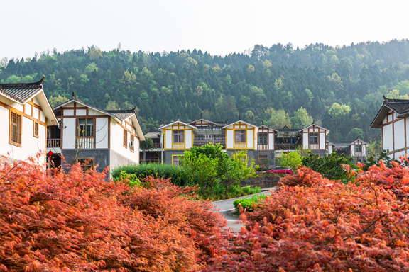 《四川省鄉(xiāng)村振興法治工作規(guī)劃（2020－2022年）》出爐