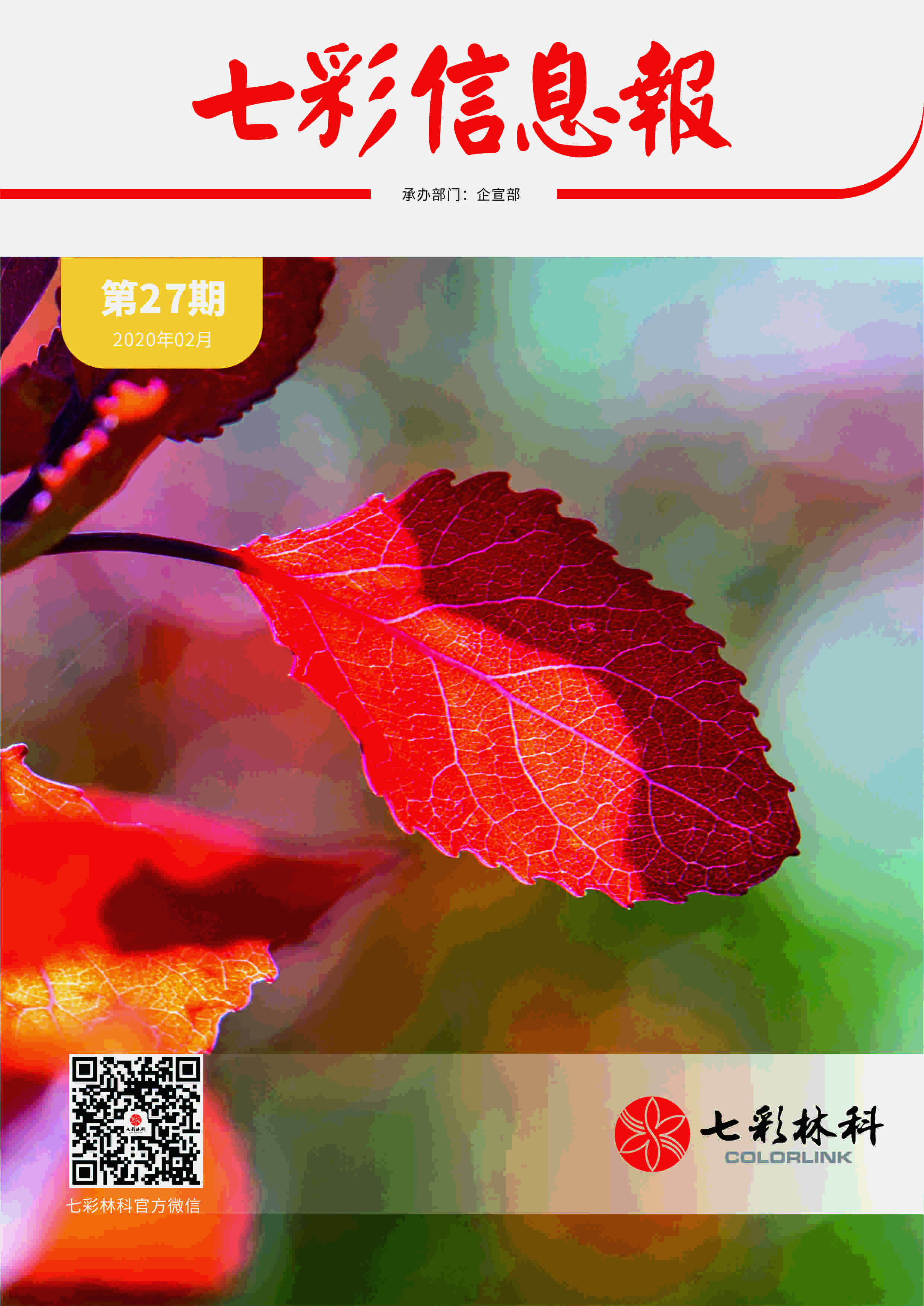 七彩信息報2020年第2期