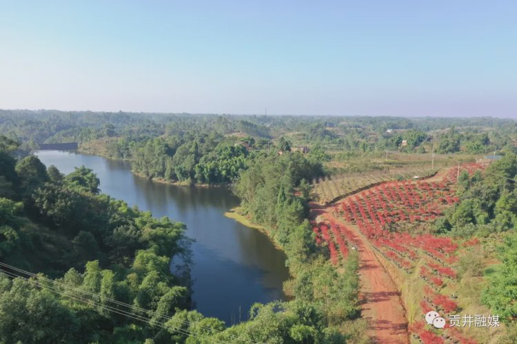 “旅游+扶貧” 風(fēng)景變“錢(qián)”景 ——蓮花鎮(zhèn)決戰(zhàn)決勝脫貧攻堅(jiān)一線見(jiàn)聞