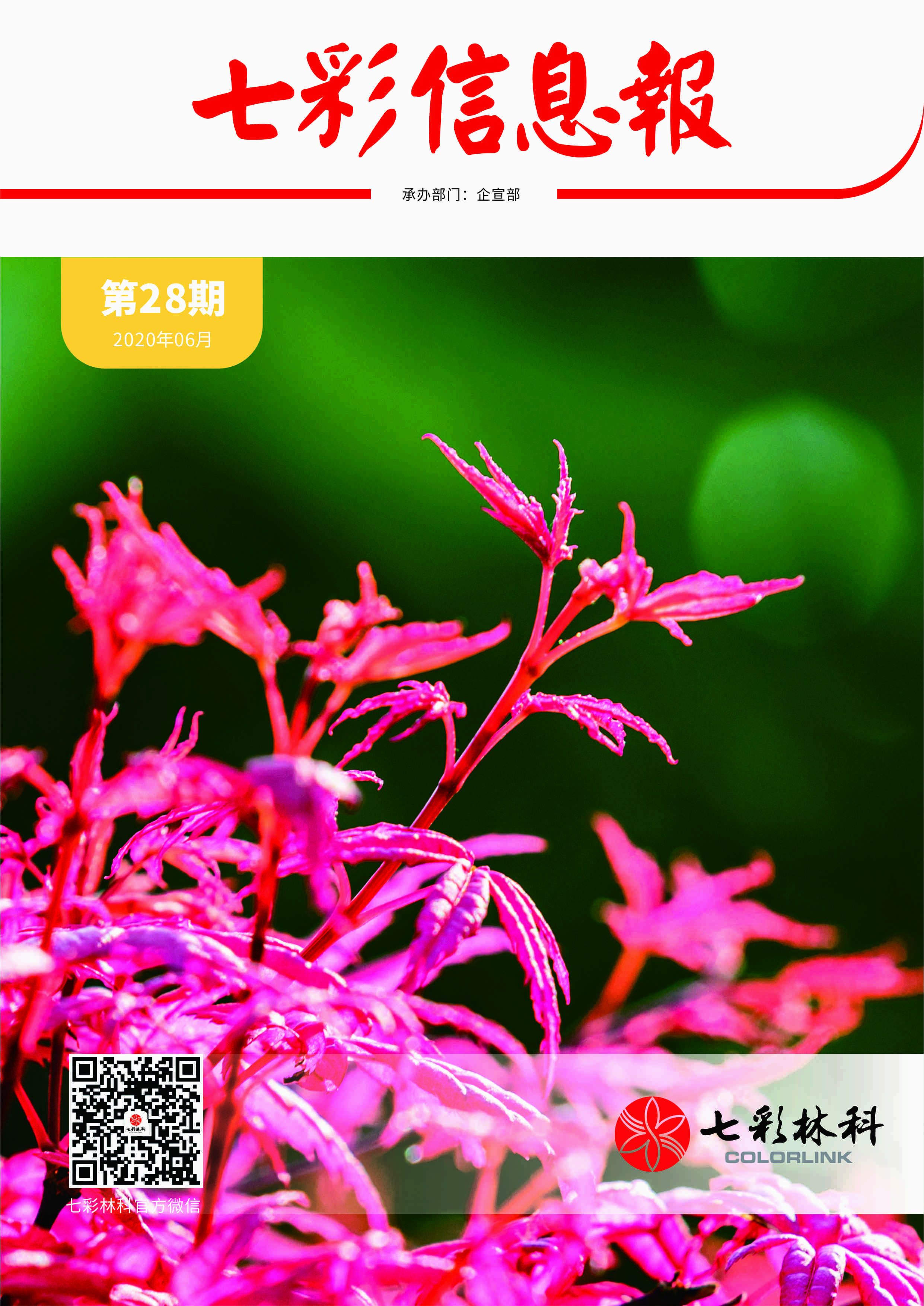 七彩信息報2020年第3期