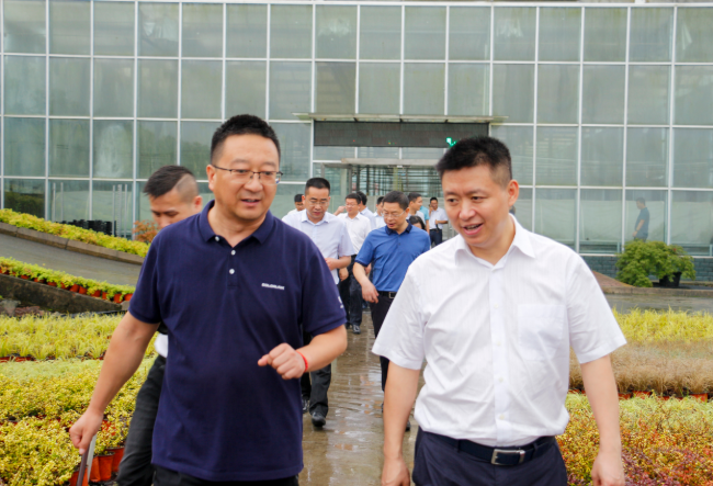 聚焦七彩|團省委書記張榮帶隊專題調(diào)研七彩林科