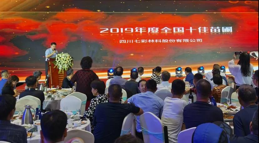 聚焦七彩|金秋豐收！七彩林科再獲全國十佳苗圃