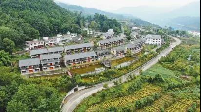 媒體聚焦|《四川日?qǐng)?bào)》報(bào)道七彩林科培育生態(tài)富民產(chǎn)業(yè)