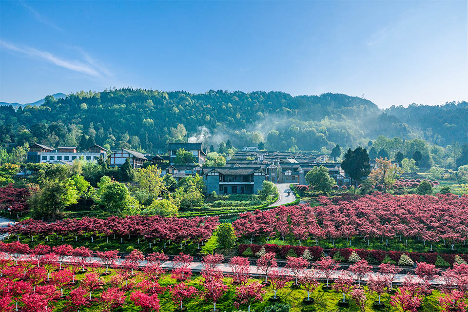 媒體聚焦|【巴中】南江縣長灘社區(qū)：“五個一” 擘畫基層統(tǒng)戰(zhàn)新篇章