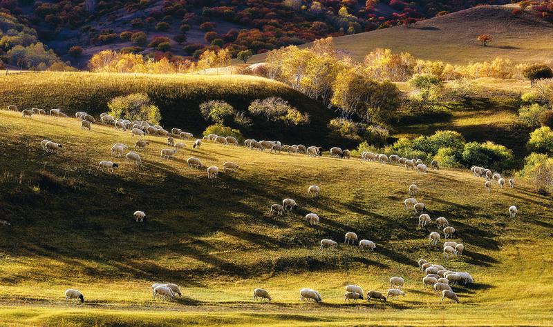 我國生態(tài)文明建設(shè)取得歷史性成就